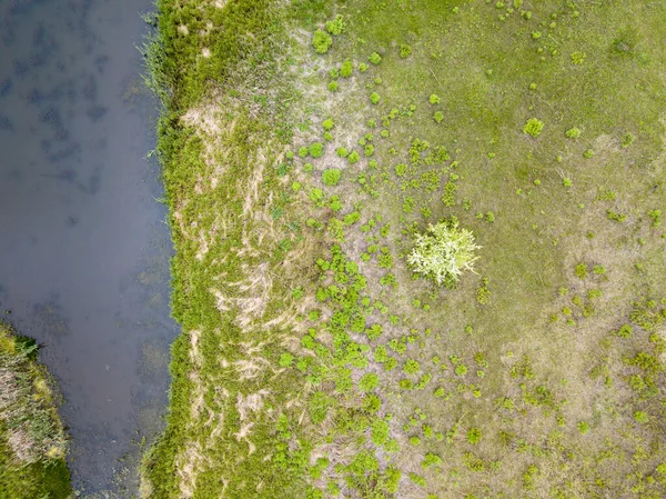 Aerial Drone View Country Lake Ukraine — Stock Photo, Image