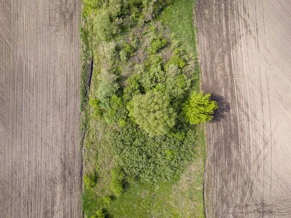 Flygfoto Ukrainska Jordbruksfält Våren — Stockfoto