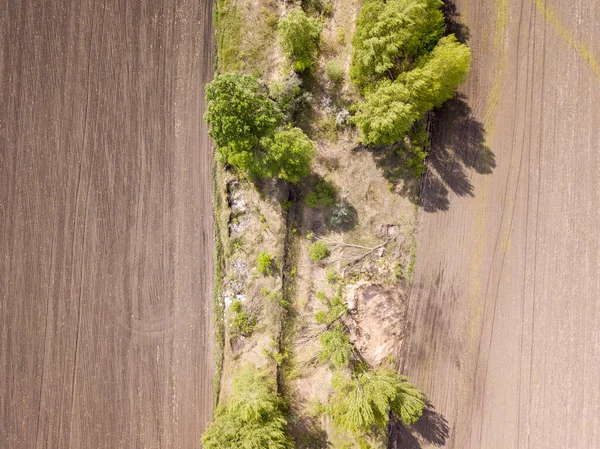 มมองทางอากาศ สนามเกษตรย เครนในฤด ใบไม — ภาพถ่ายสต็อก