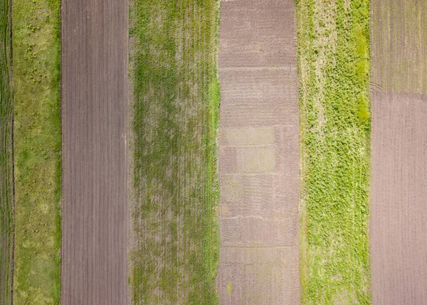Flygfoto Ukrainska Jordbruksfält Våren — Stockfoto