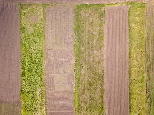 Vista Aérea Campos Agrícolas Ucranianos Primavera — Fotografia de Stock