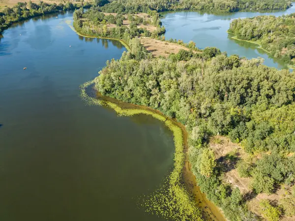 Orilla Verde Del Río Dniéper Día Soleado Verano Vista Aérea — Foto de Stock