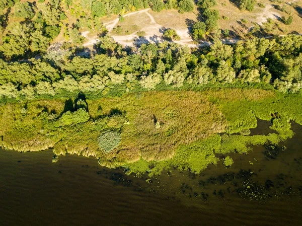 Green Bank Dnieper River Summer Sunny Day Aerial Drone View — Stock Photo, Image