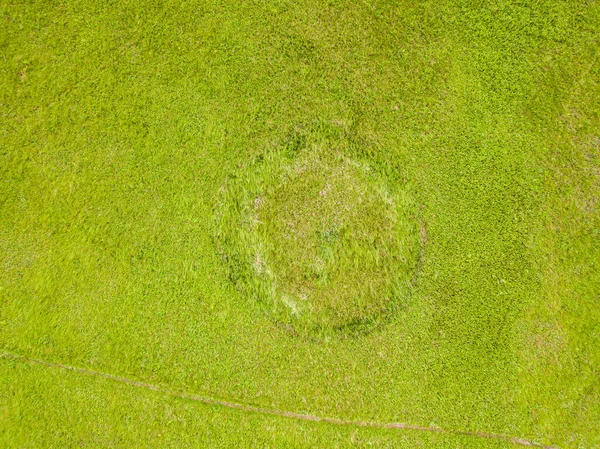 Drohnen Aus Der Luft Grüne Wiese Frühling — Stockfoto