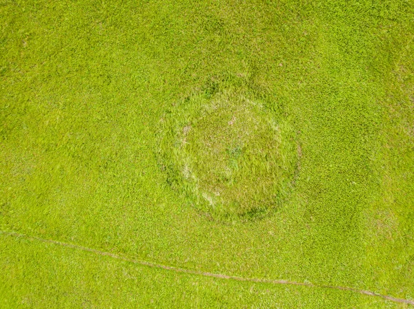 Drohnen Aus Der Luft Grüne Wiese Frühling — Stockfoto