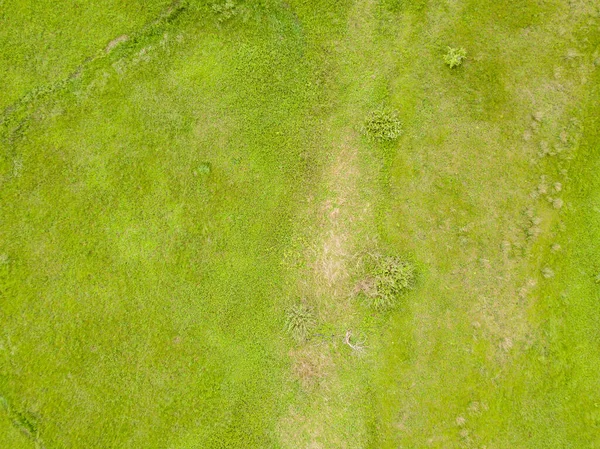 Vista Aérea Drones Prado Verde Primavera — Fotografia de Stock