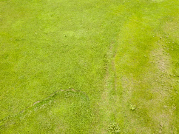 Drohnen Aus Der Luft Grüne Wiese Frühling — Stockfoto