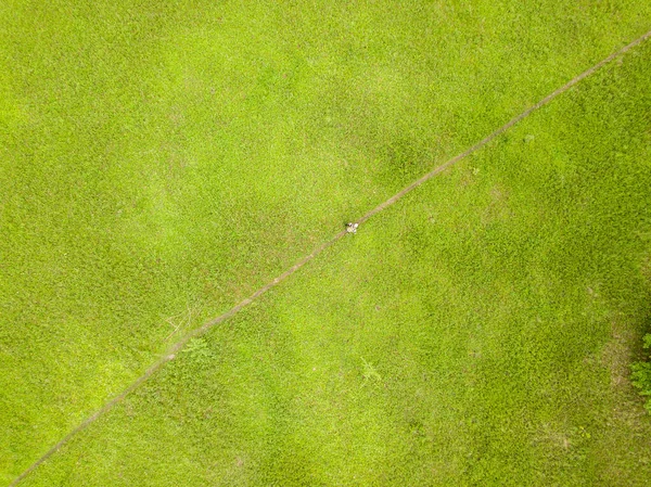 空中无人驾驶飞机视图 春天的绿地 — 图库照片