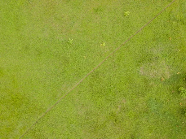 Aerial Drone View Green Meadow Spring — Stock Photo, Image