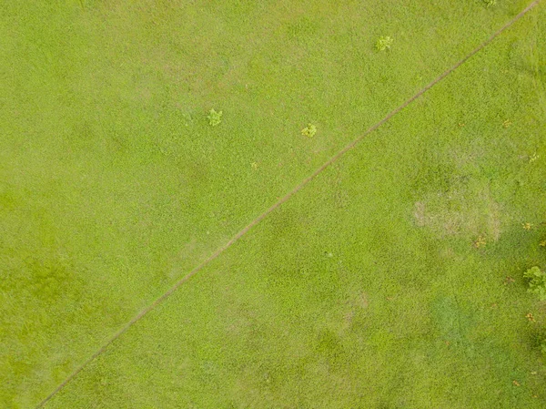 Vista Aérea Del Dron Pradera Verde Primavera —  Fotos de Stock