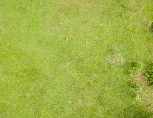 空中ドローンビュー 春の緑の草原 — ストック写真