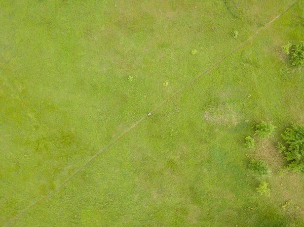 Aerial Drone View Green Meadow Spring — Stock Photo, Image