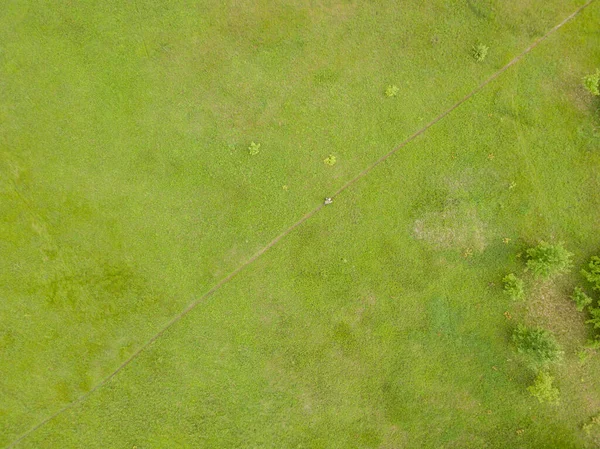 Vista Aérea Del Dron Pradera Verde Primavera —  Fotos de Stock