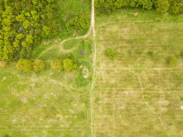 Veduta Aerea Del Drone Bosco Verde Primaverile — Foto Stock