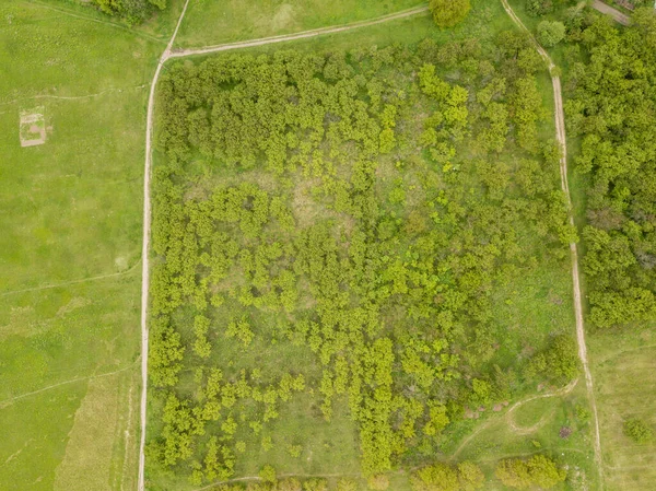 Gröna Toppar Blandade Skogsträd Slutet Våren Solig Klar Dag Flygdrönare — Stockfoto