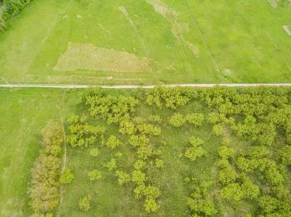 Vista Aérea Drones Floresta Primavera Verde — Fotografia de Stock
