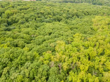Baharın sonlarında karışık orman ağaçlarının yeşil tepeleri. Güneşli açık bir gün. Hava aracı üst görünümü.