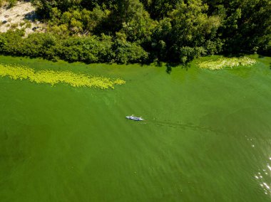 Dinyeper nehrinin yeşil sularında kayık. Hava aracı görünümü.