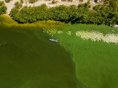 Dinyeper nehrinin yeşil sularında kayık. Hava aracı görünümü.