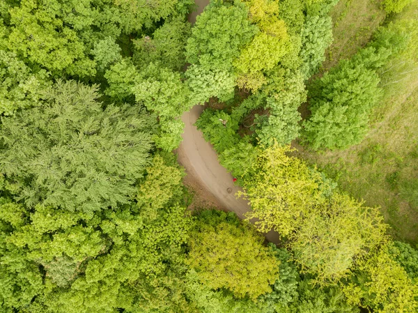 Vegyes Erdőfák Zöld Teteje Késő Tavasszal Napfényes Tiszta Nap Légi — Stock Fotó