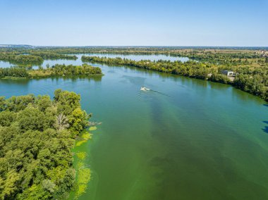 Dinyeper nehrinin hava aracı görüntüsü. Nehirde çiçek açan yosunların yeşil dokusu..