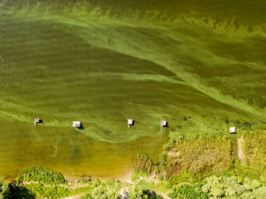 Kiev 'deki Dinyeper nehrindeki yeşil suyun hava aracı görüntüsü..