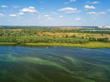 Güneşli bir yaz gününde Dinyeper nehrinin yeşil kıyısında. Hava aracı görünümü.