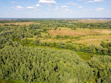 Hava aracı görüntüsü. Yeşil çayırlar ve seyrek ağaçlar bir yaz günü.