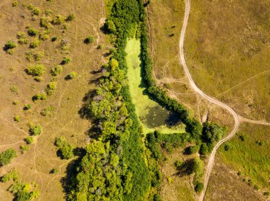 Hava aracı görüntüsü. Adadaki yeşil bir çayırdan geçen toprak yol..