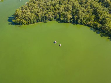 Hava görüntüsü. Dinyeper Nehri Bankası. Nehrin yeşil sularında yosunlar açar..