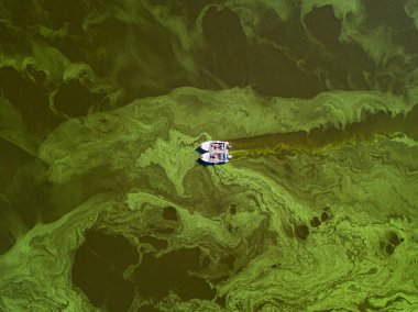 Fishing boat on green water, aerial drone view. Algae bloom in the river, green pattern on the water. clipart