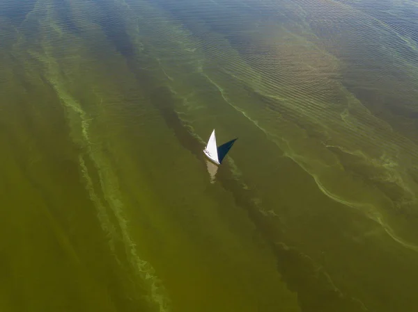 Aerial view. Sailing ship in green water.