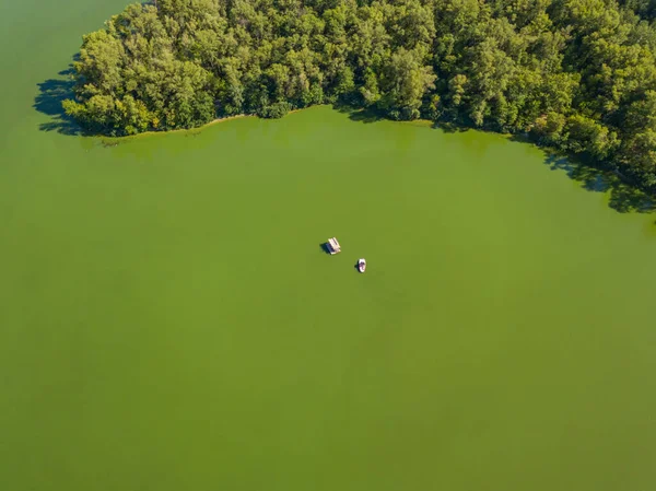 Hava görüntüsü. Dinyeper Nehri Bankası. Nehrin yeşil sularında yosunlar açar..