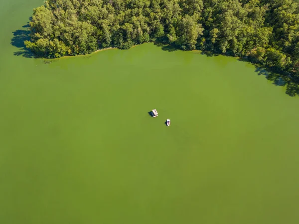 Hava görüntüsü. Dinyeper Nehri Bankası. Nehrin yeşil sularında yosunlar açar..