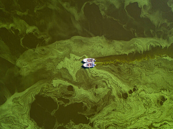 Fishing boat on green water, aerial drone view. Algae bloom in the river, green pattern on the water.