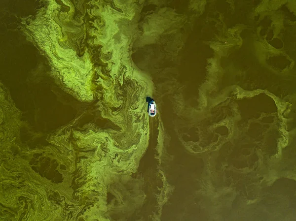 Bateau Pêche Sur Eau Verte Vue Aérienne Sur Drone Floraison — Photo