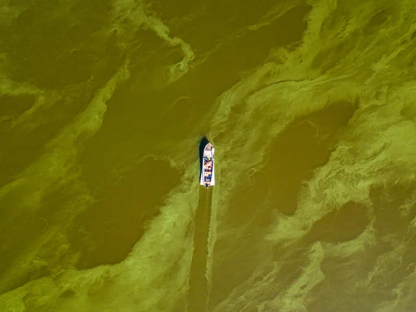 Barco Pesca Agua Verde Vista Aérea Drones Las Algas Florecen — Foto de Stock