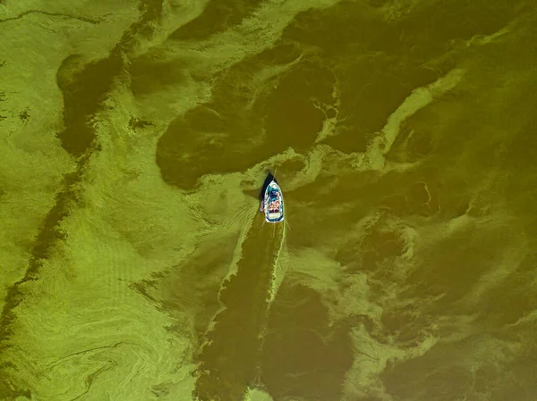 Barco Pesca Agua Verde Vista Aérea Drones Las Algas Florecen — Foto de Stock