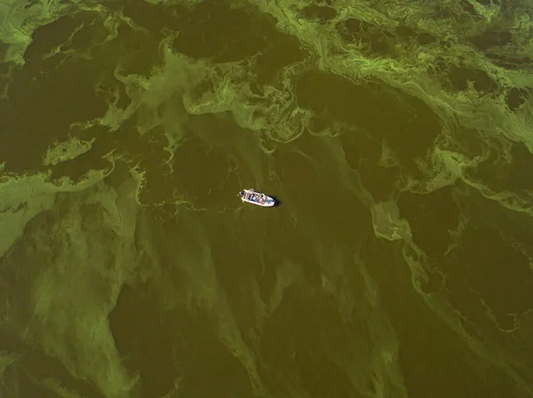 Barco Pesca Agua Verde Vista Aérea Drones Las Algas Florecen — Foto de Stock