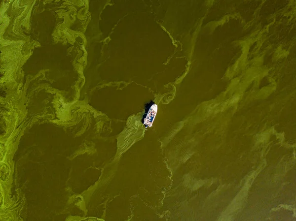 Barca Pesca Sull Acqua Verde Vista Aerea Drone Alghe Fioriscono — Foto Stock