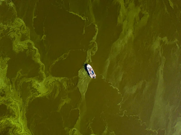 Rybářský Člun Zelené Vodě Letecký Výhled Řasy Kvetou Řece Zelený — Stock fotografie