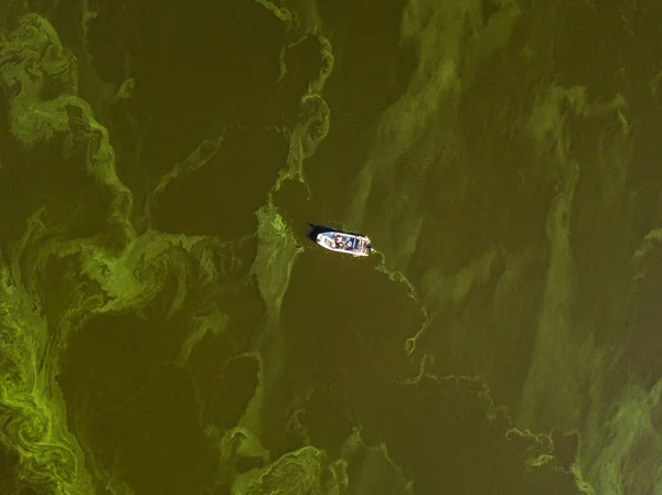 Barco Pesca Agua Verde Vista Aérea Drones Las Algas Florecen — Foto de Stock