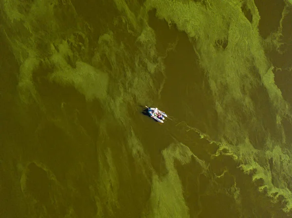 Barca Pesca Sull Acqua Verde Vista Aerea Drone Alghe Fioriscono — Foto Stock