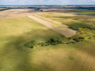 Hava aracı görüntüsü. Ukrayna 'daki tarım alanları.