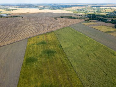 Hava aracı görüntüsü. Ukrayna 'daki tarım alanları.
