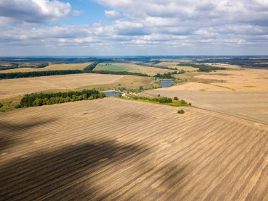 Hava aracı görüntüsü. Güneşli bir günde hasat edilen buğday tarlası.