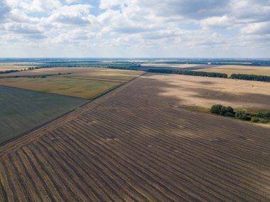 Hava aracı görüntüsü. Güneşli bir günde hasat edilen buğday tarlası.