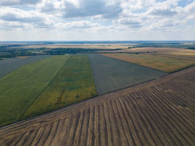 Hava aracı görüntüsü. Ukrayna 'daki tarım alanları.
