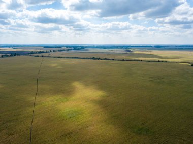 Hava aracı görüntüsü. Ukrayna 'daki tarım alanları.