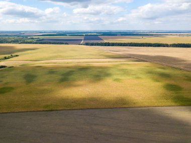 Hava aracı görüntüsü. Ukrayna 'daki tarım alanları.